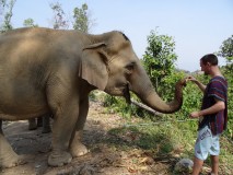 Chiang Mai - Elephants Jungle Sanctuary