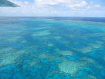 Vol panoramique au dessus de la grande barrière de corail et de l'archipel des whitsundays